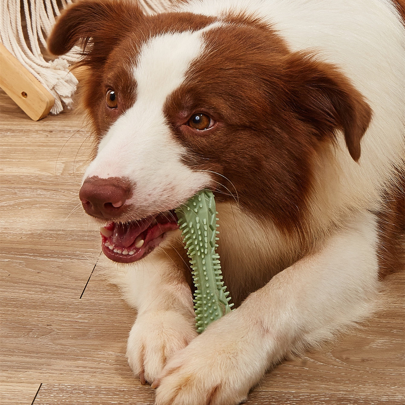 Chew Toy For Cleaning Dog Teeth